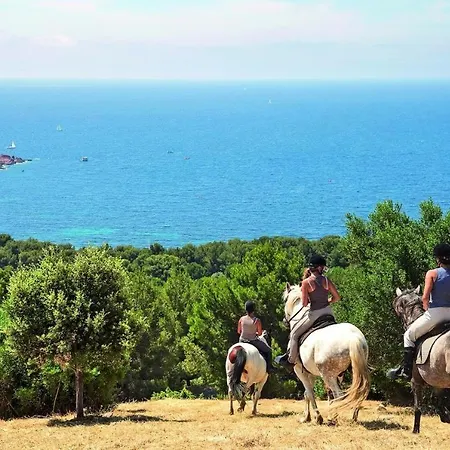 Cap Esterel, T2 Vue 4 Couchages Adapte Pmr *