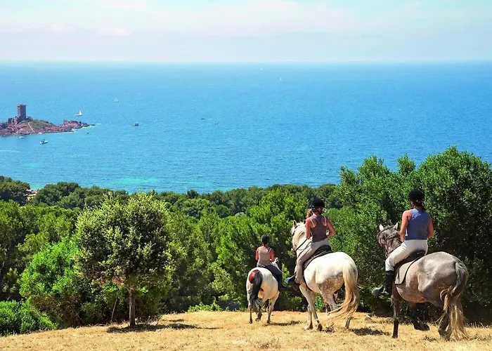 Cap Esterel, T2 Vue 4 Couchages Adapte Pmr *