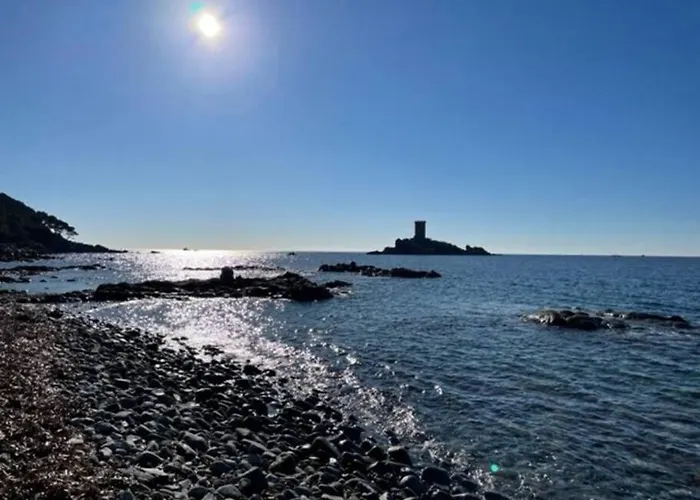 Cap Esterel, T2 Vue 4 Couchages Adapte Pmr